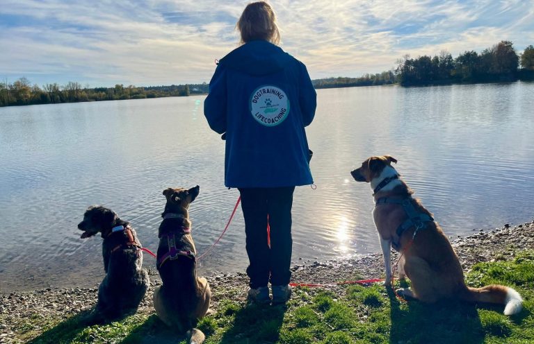 Petra mit Hund auf der Wiese im Münchner Norden