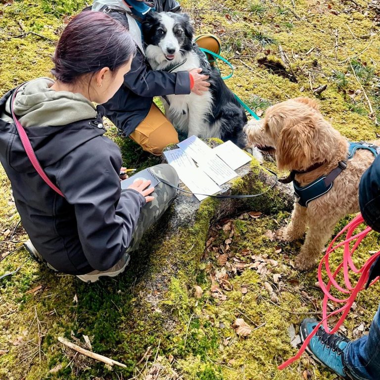 Hund im persönlichen Coaching